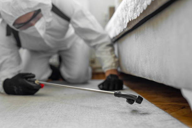 Professional Bed Bug Control technician working in Reed Creek, GA