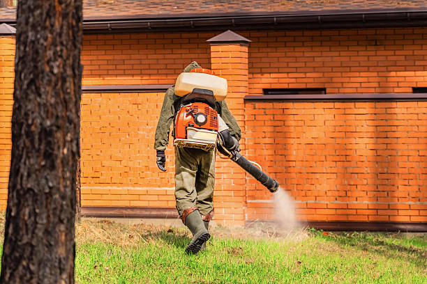 Trusted Ant Control service in Reed Creek, GA - Nex Pest Control